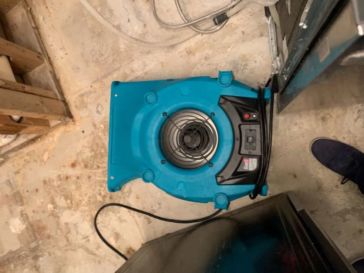 Air mover drying equipment for Mold Remediation & Removal in Zephyrhills South