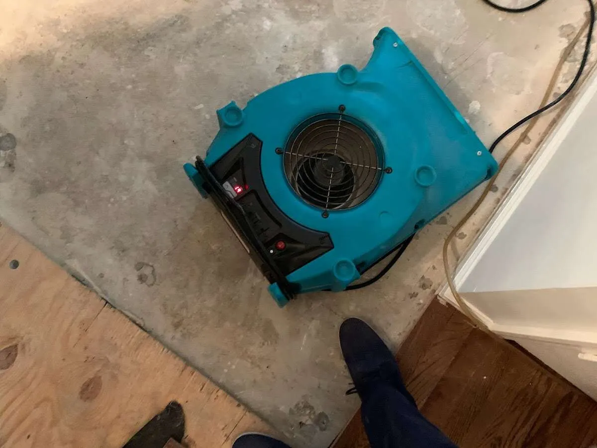 Air mover drying subfloor during Commercial Water Damage Restoration in Zephyrhills South